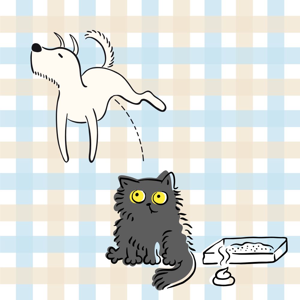 トイレのお世話・清掃