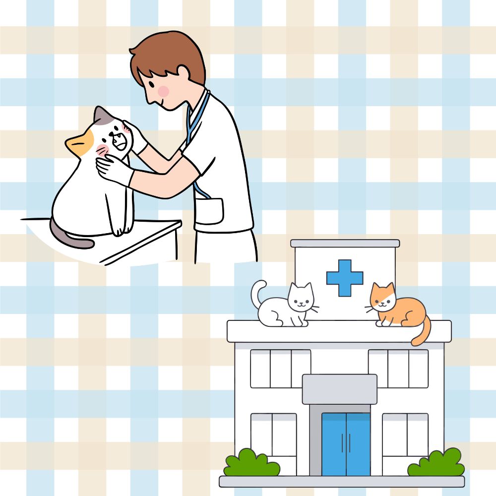 健康チェック・病院への通院