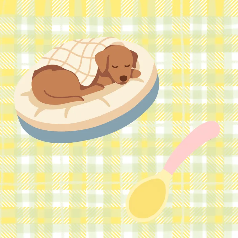 食事補助